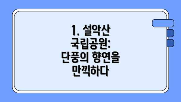1. 설악산 국립공원: 단풍의 향연을 만끽하다