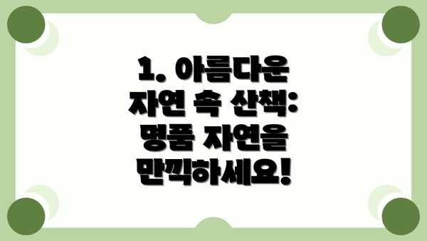 1. 아름다운 자연 속 산책: 명품 자연을 만끽하세요!