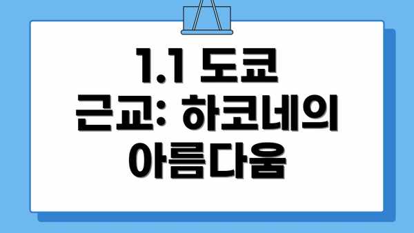 1.1 도쿄 근교: 하코네의 아름다움