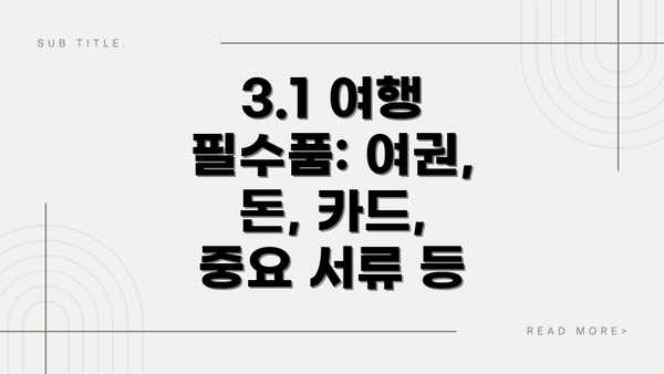 3.1 여행 필수품: 여권, 돈, 카드, 중요 서류 등