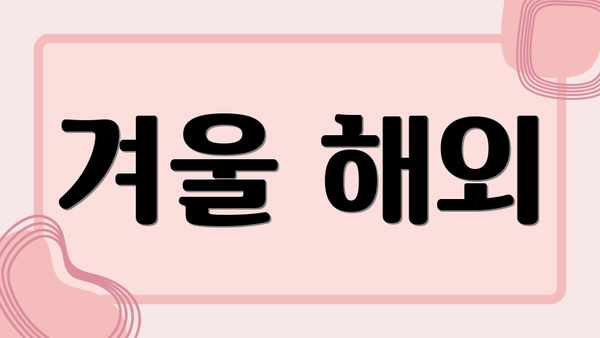 겨울 해외