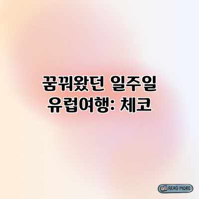 꿈꿔왔던 일주일 유럽여행: 체코 꿈꿔왔던 일주일 유럽여행: 체코