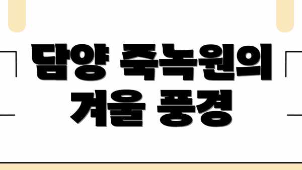 담양 죽녹원의 겨울 풍경