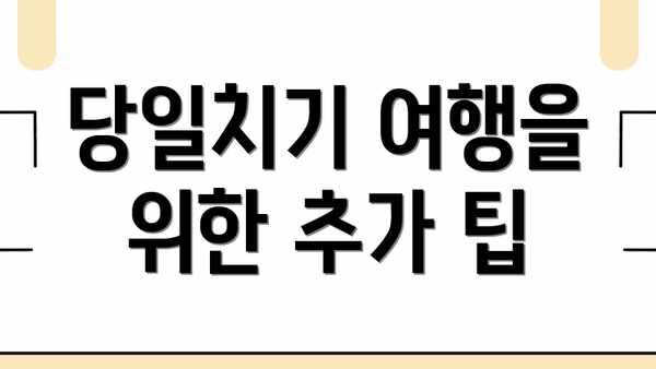 당일치기 여행을 위한 추가 팁