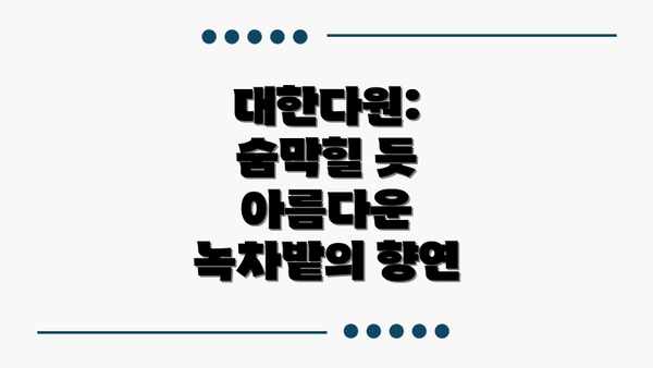 대한다원: 숨막힐 듯 아름다운 녹차밭의 향연
