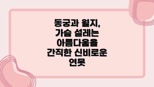 동궁과 월지, 가슴 설레는 아름다움을 간직한 신비로운 연못