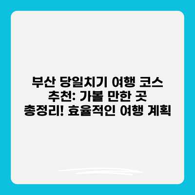 부산 당일치기 여행 코스 추천: 가볼 만한 곳 총정리! 효율적인 여행 계획 부산 당일치기 여행 코스 추천: 가볼 만한 곳 총정리! 효율적인 여행 계획