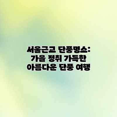 서울근교 단풍명소: 가을 정취 가득한 아름다운 단풍 여행 서울근교 단풍명소: 가을 정취 가득한 아름다운 단풍 여행
