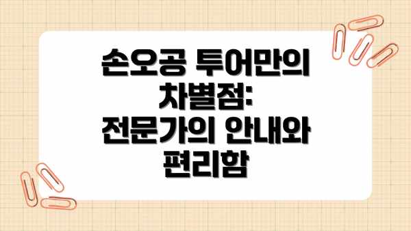 손오공 투어만의 차별점: 전문가의 안내와 편리함