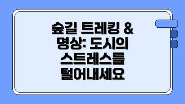 숲길 트레킹 & 명상: 도시의 스트레스를 털어내세요