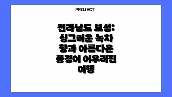 전라남도 보성: 싱그러운 녹차 향과 아름다운 풍경이 어우러진 여행