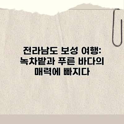 전라남도 보성 여행: 녹차밭과 푸른 바다의 매력에 빠지다 전라남도 보성 여행: 녹차밭과 푸른 바다의 매력에 빠지다