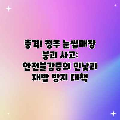 충격! 청주 눈썰매장 붕괴 사고: 안전불감증의 민낯과 재발 방지 대책 충격! 청주 눈썰매장 붕괴 사고: 안전불감증의 민낯과 재발 방지 대책