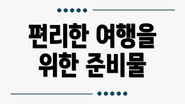 편리한 여행을 위한 준비물