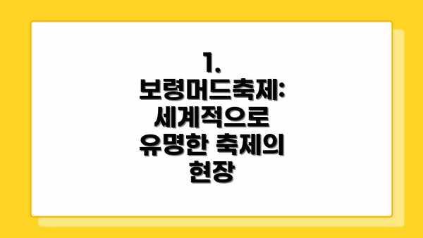 1. 보령머드축제:  세계적으로 유명한 축제의 현장
