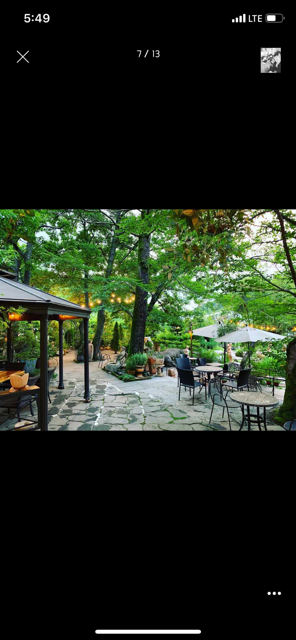 민들레울