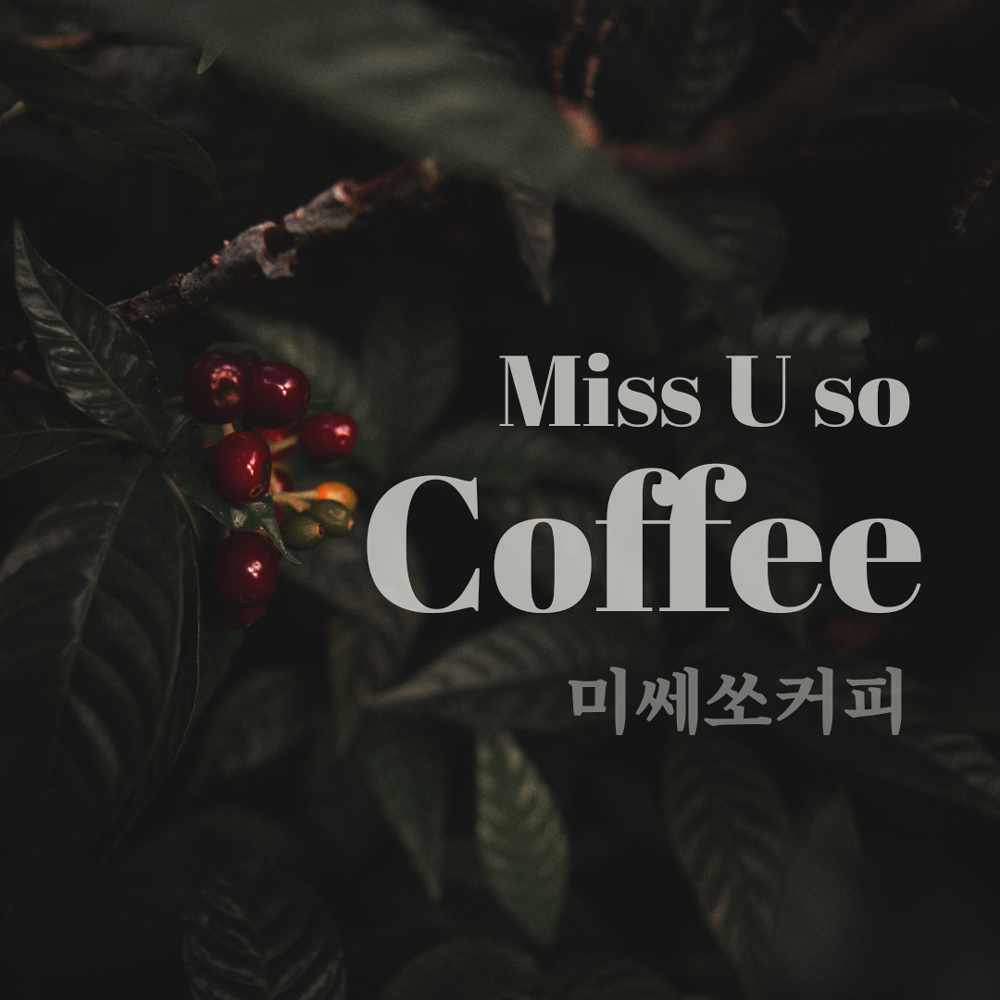미쎄쏘커피