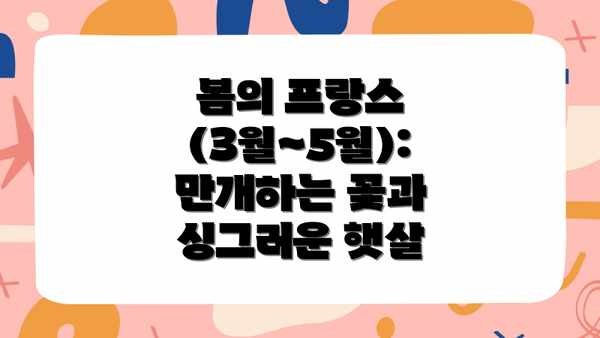 봄의 프랑스 (3월~5월): 만개하는 꽃과 싱그러운 햇살