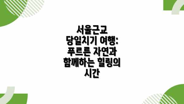 서울근교 당일치기 여행: 푸르른 자연과 함께하는 힐링의 시간