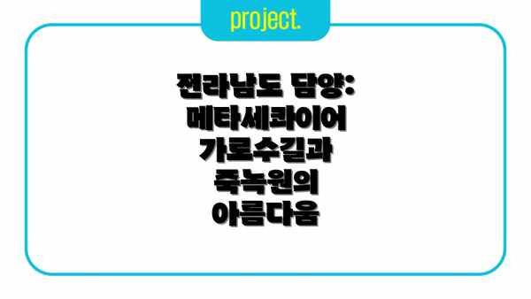 전라남도 담양: 메타세콰이어 가로수길과 죽녹원의 아름다움