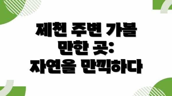 제천 주변 가볼 만한 곳: 자연을 만끽하다