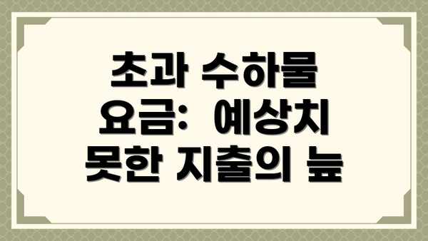 초과 수하물 요금:  예상치 못한 지출의 늪