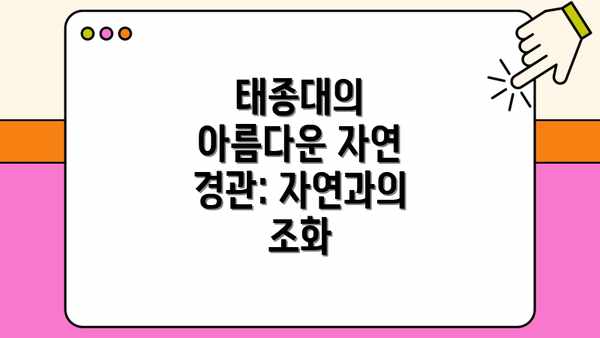 태종대의 아름다운 자연 경관: 자연과의 조화