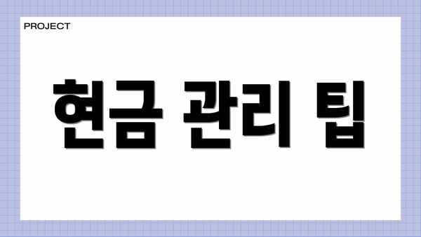 현금 관리 팁
