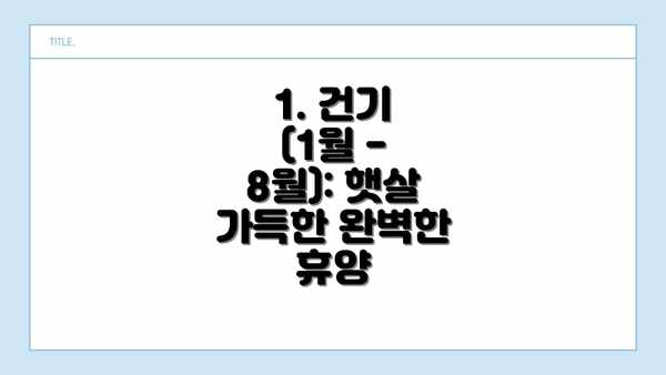 1. 건기 (1월 - 8월): 햇살 가득한 완벽한 휴양