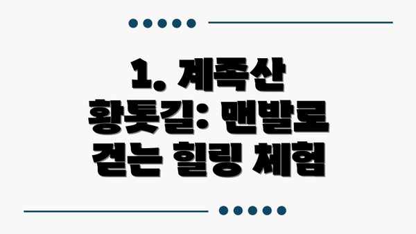 1. 계족산 황톳길: 맨발로 걷는 힐링 체험