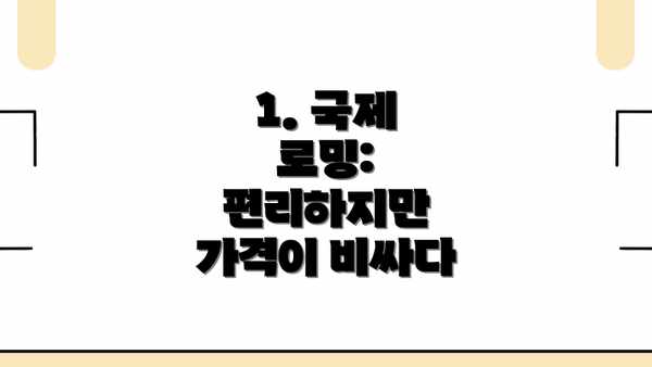 1. 국제 로밍: 편리하지만 가격이 비싸다