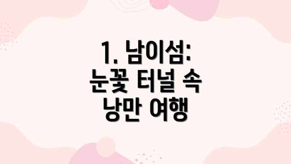 1. 남이섬: 눈꽃 터널 속 낭만 여행