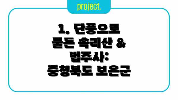 1. 단풍으로 물든 속리산 & 법주사: 충청북도 보은군