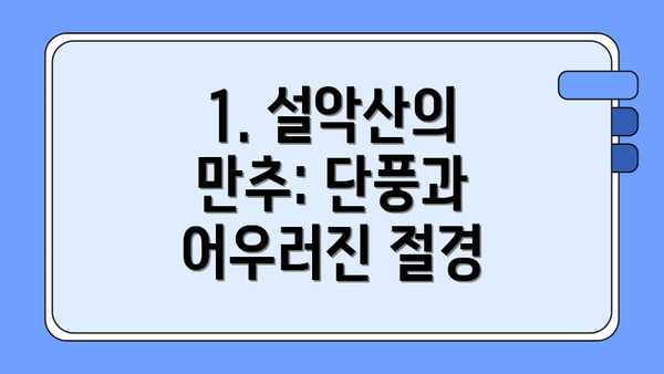 1. 설악산의 만추: 단풍과 어우러진 절경
