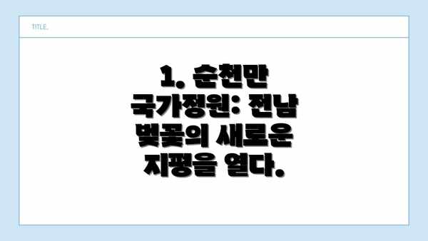 1. 순천만 국가정원: 전남 벚꽃의 새로운 지평을 열다.