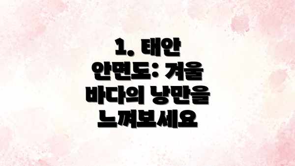 1. 태안 안면도: 겨울 바다의 낭만을 느껴보세요