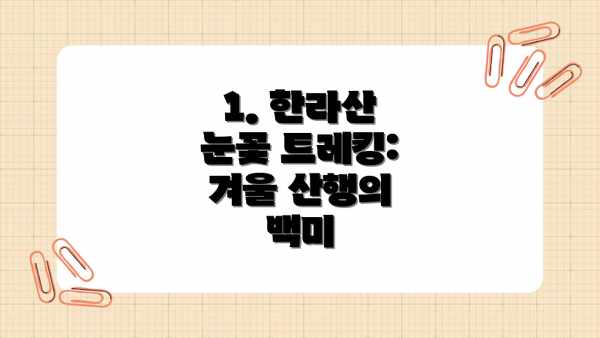 1. 한라산 눈꽃 트레킹: 겨울 산행의 백미