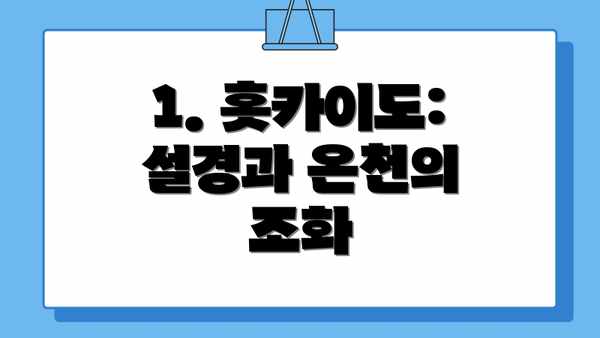1. 홋카이도: 설경과 온천의 조화