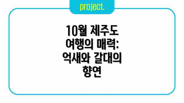10월 제주도 여행의 매력:  억새와 갈대의 향연