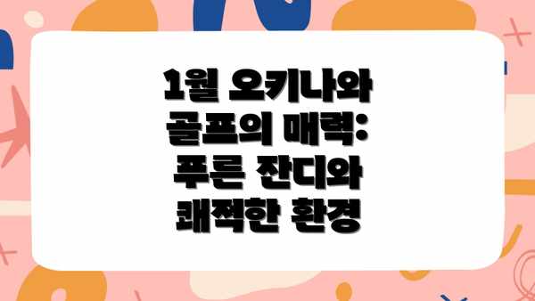 1월 오키나와 골프의 매력: 푸른 잔디와 쾌적한 환경