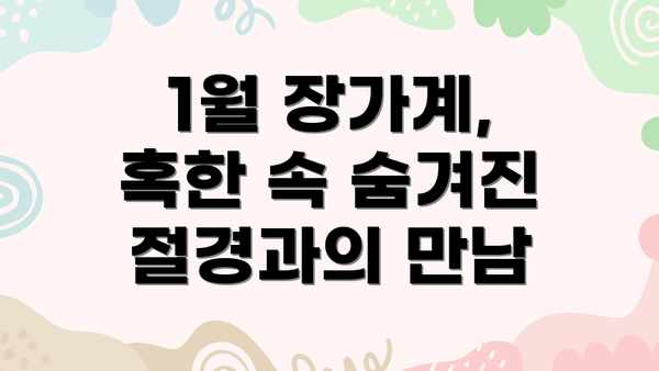 1월 장가계, 혹한 속 숨겨진 절경과의 만남