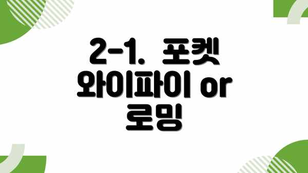 2-1.  포켓 와이파이 or 로밍