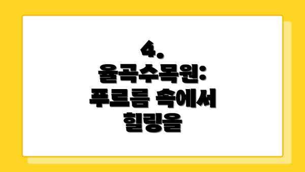 4. 율곡수목원: 푸르름 속에서 힐링을