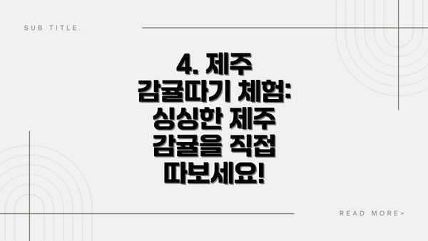4. 제주 감귤따기 체험: 싱싱한 제주 감귤을 직접 따보세요!