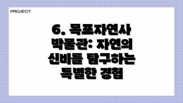 6. 목포자연사박물관: 자연의 신비를 탐구하는 특별한 경험