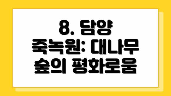 8. 담양 죽녹원: 대나무 숲의 평화로움