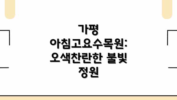 가평 아침고요수목원: 오색찬란한 불빛 정원