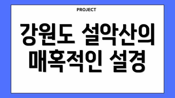 강원도 설악산의 매혹적인 설경