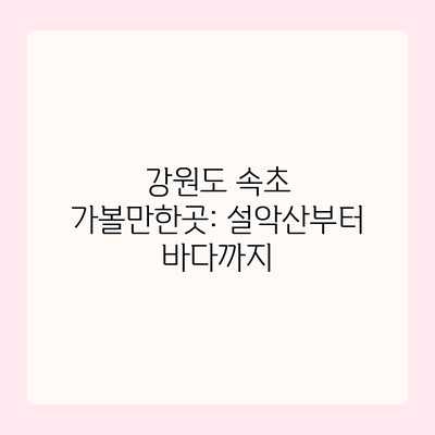 강원도 속초 가볼만한곳: 설악산부터 바다까지 강원도 속초 가볼만한곳: 설악산부터 바다까지