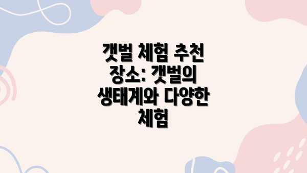 갯벌 체험 추천 장소: 갯벌의 생태계와 다양한 체험